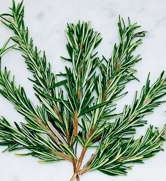 ROSEMARY ESSENTIAL OIL