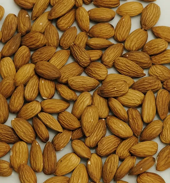 SWEET ALMOND OIL