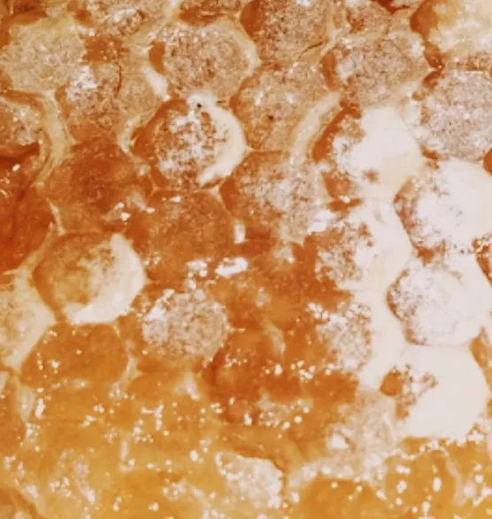 RAW HONEY