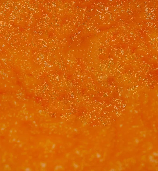 PAPAYA JUICE