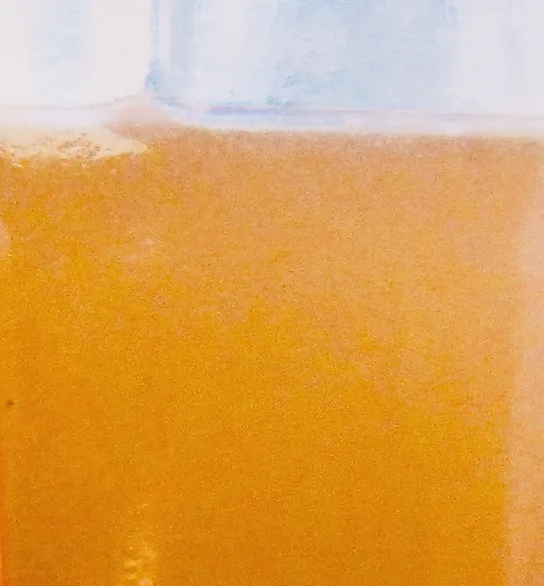 APPLE CIDER VINEGAR