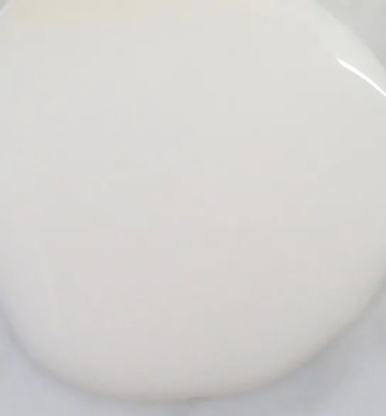 TAPIOCA