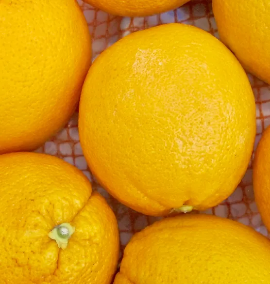 ORANGE PEELS