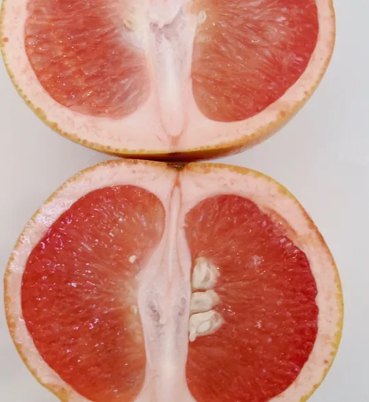GRAPEFRUIT ESSENTIAL OIL