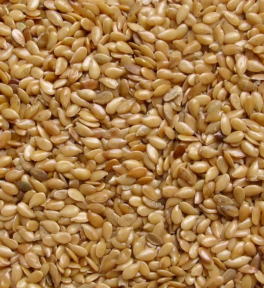 GOLDEN FLAXSEED