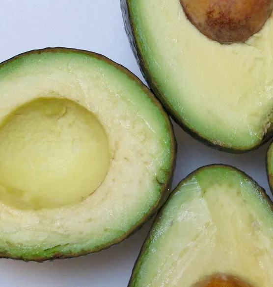 AVOCADO OIL