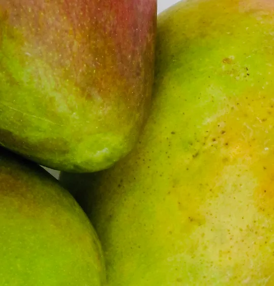 MANGO BUTTER