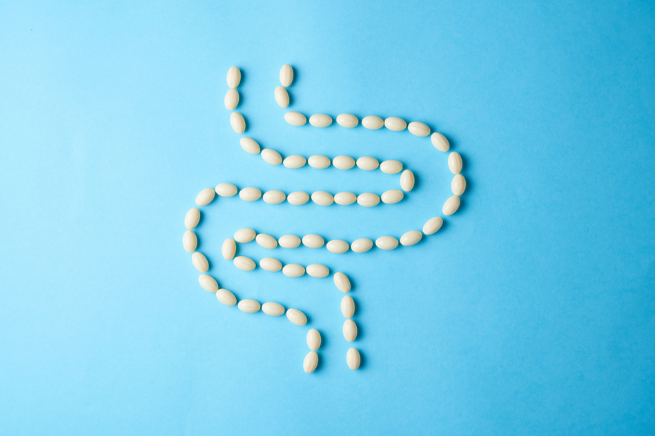 Understanding The Connection Between <span>The Gut And The Skin<span>