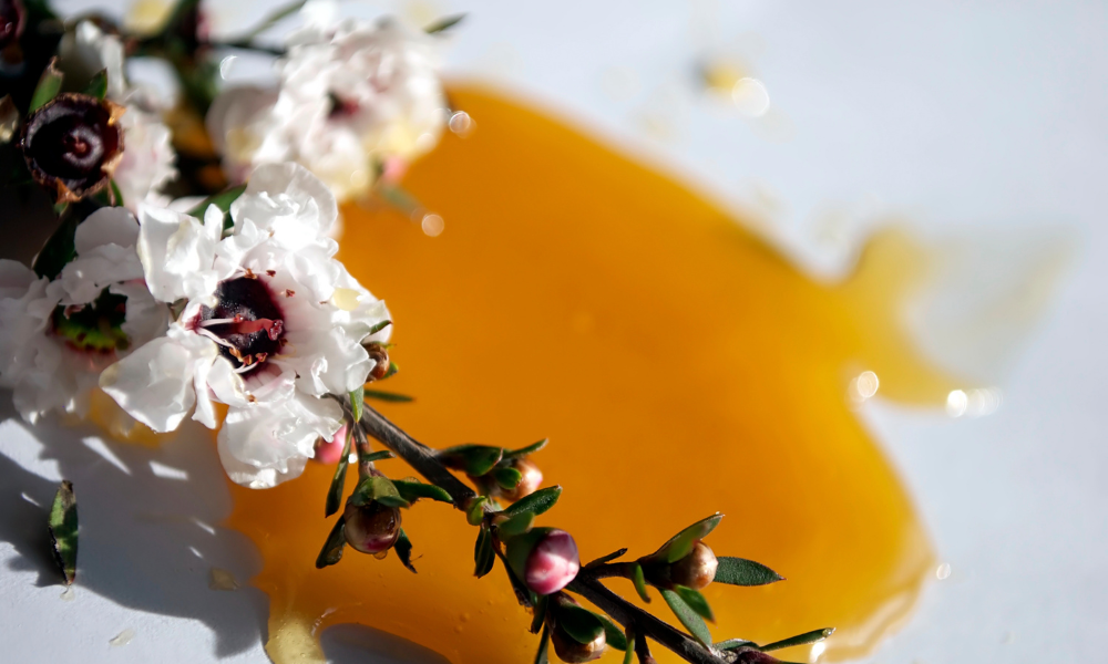 At Shimmer Chef, we’re taking a very close look at the impact of neurocosmetic ingredients, including honey, Dead Sea salt, and more.