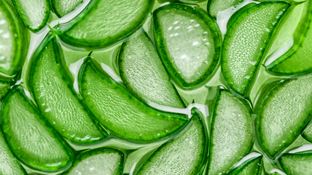 So what can Ayurveda teach us about glowing skin? You might be surprised! This holistic system emphasizes balance and harmony by using nutrient-rich botanicals to nourish, repair and protect from the inside out. 