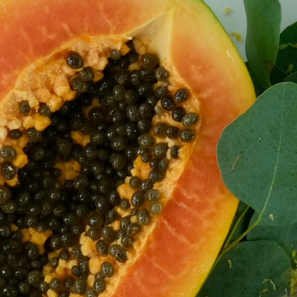 PAPAYA
