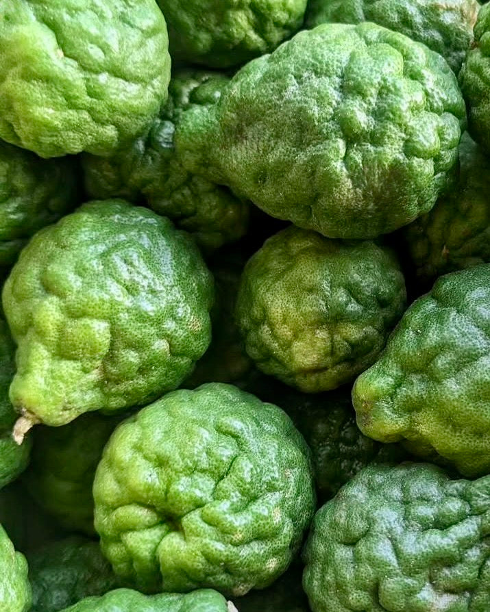 BERGAMOT ESSENTIAL OIL