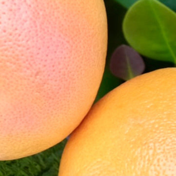 GRAPEFRUIT PEEL